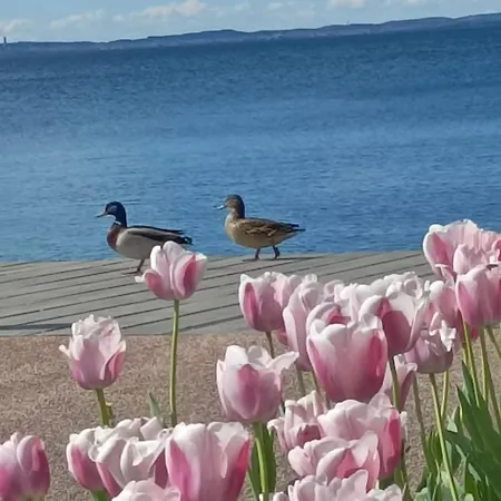 Appartement Dimora Corte San Zeno Vicino Al Ac