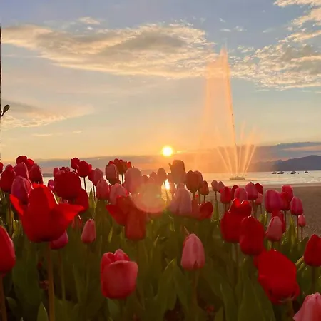 Appartement Dimora Corte San Zeno Vicino Al Ac